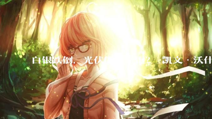 白银跌倒，光伏能否吃饱？_凯文·沃什_黄金者_市场恐慌