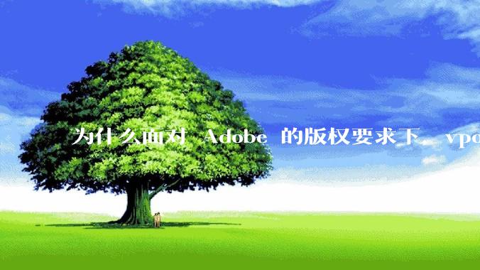 为什么面对 Adobe 的版权要求下，vposy 大神还能从容不迫？