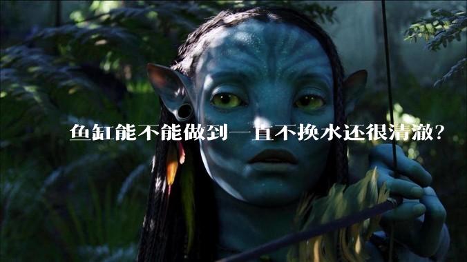 鱼缸能不能做到一直不换水还很清澈？