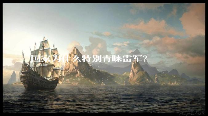 国家为什么特别青睐雷军？