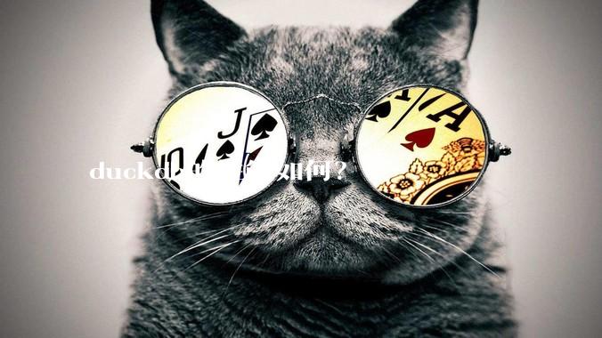 duckdb的性能如何？