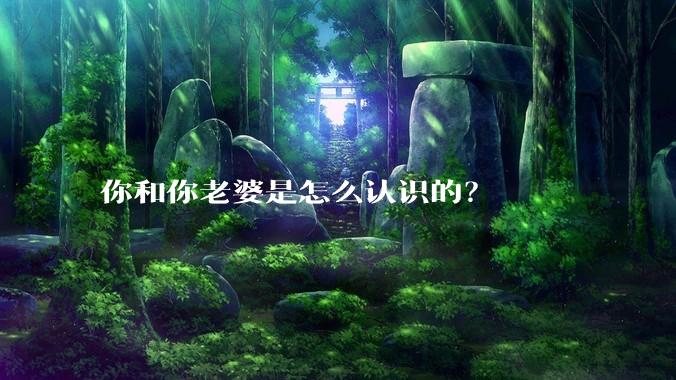 你和你老婆是怎么认识的？