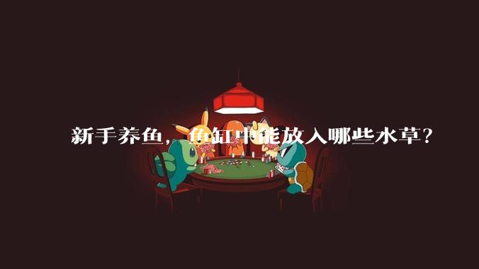 新手养鱼，鱼缸中能放入哪些水草？