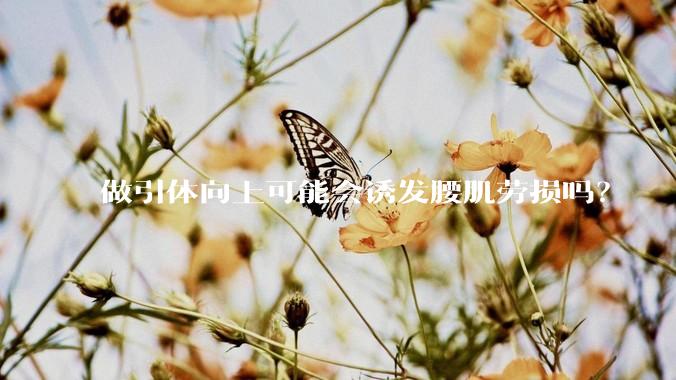 做引体向上可能会诱发腰肌劳损吗？