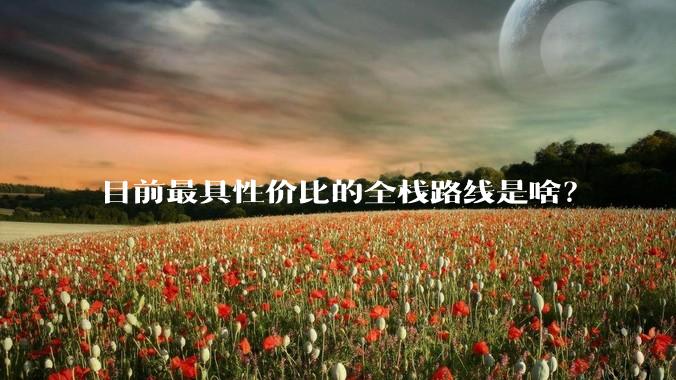 目前最具性价比的全栈路线是啥？